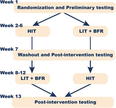 Comparing low volume of blood flow restricted to high-intensity resistance training of the finger flexors to maintain climbing-specific strength and endurance: a crossover study